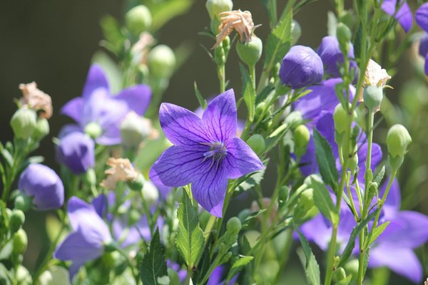 Optimisez la Durée de Vie de Votre Climatisation : Conseils Pratiques et Astuces Incontournables