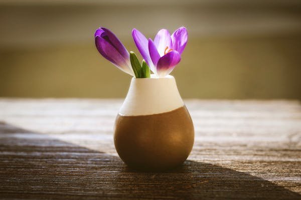Petit vase : l'élégance compacte pour votre décoration